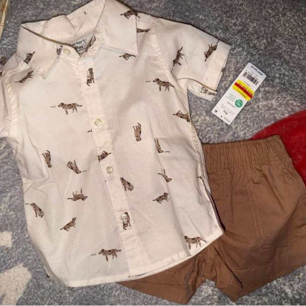 Carters 9 Month Shirt and Shorts Set